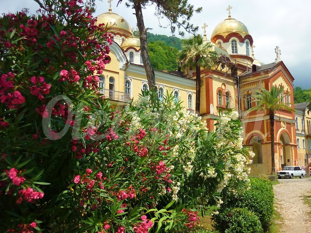 Абхазия в октябре фото