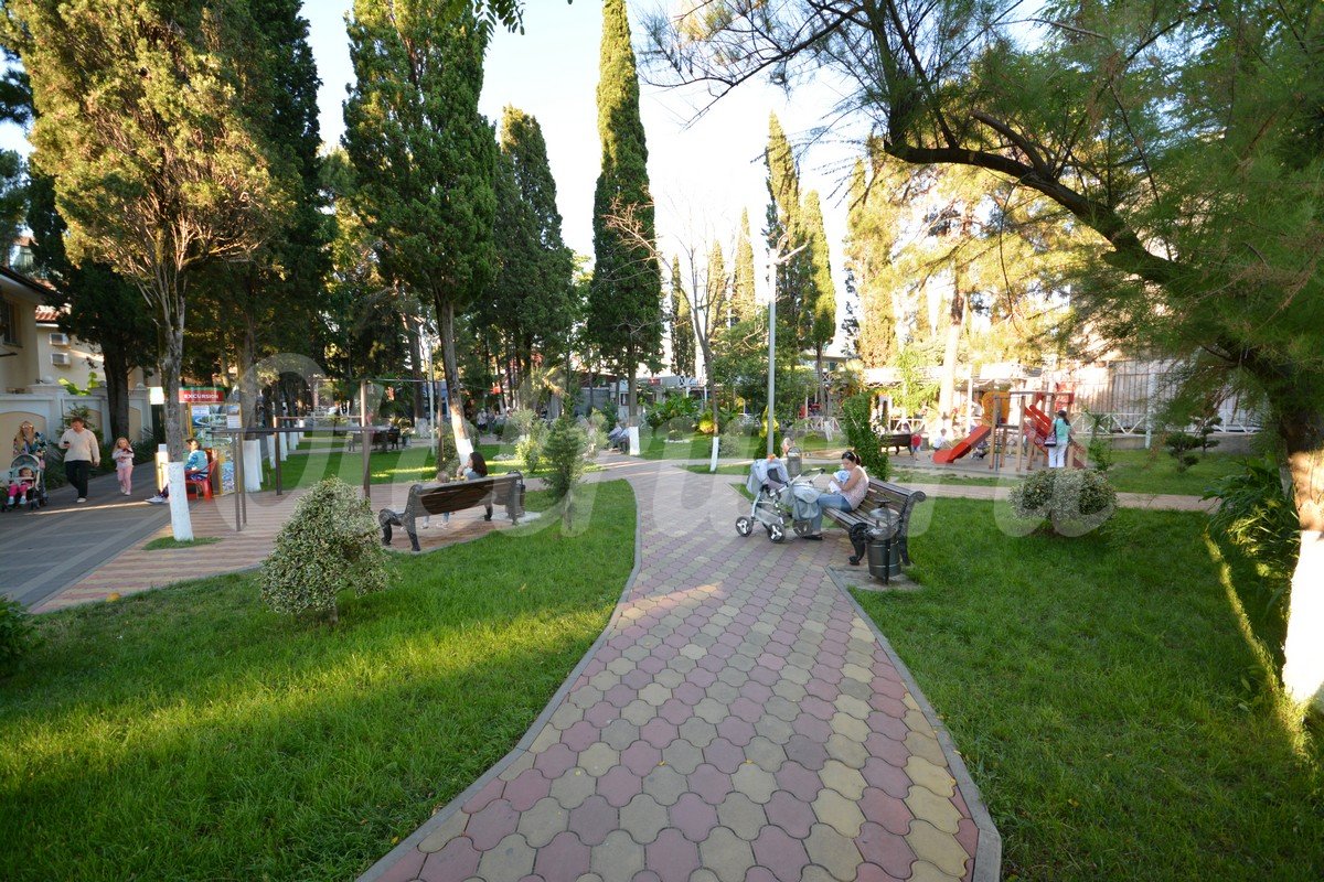 Мой авто адлер