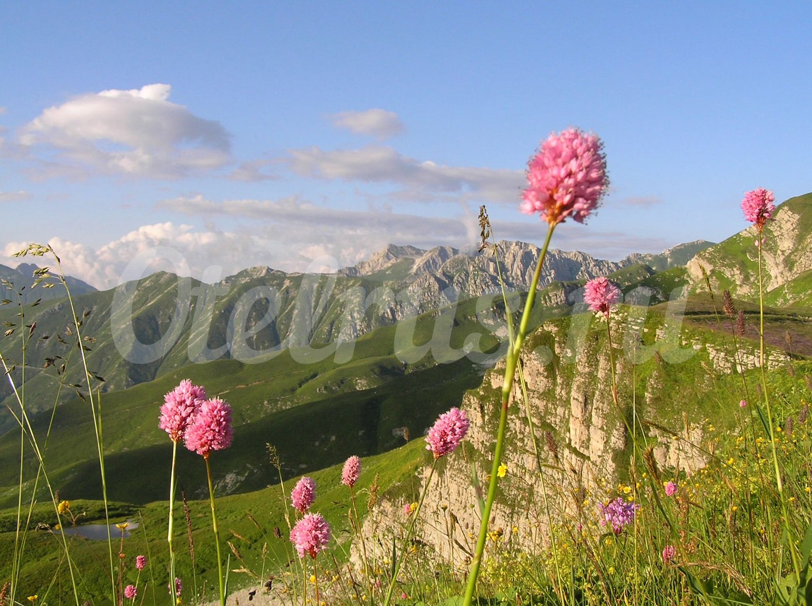Отдых в Абхазии в мае, майские праздники в Абхазии, май в Абхазии