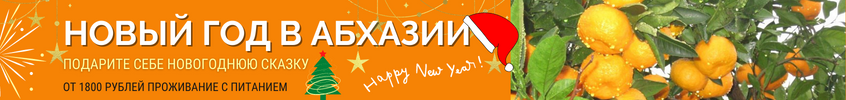 Туры на Новый год в Абхазию